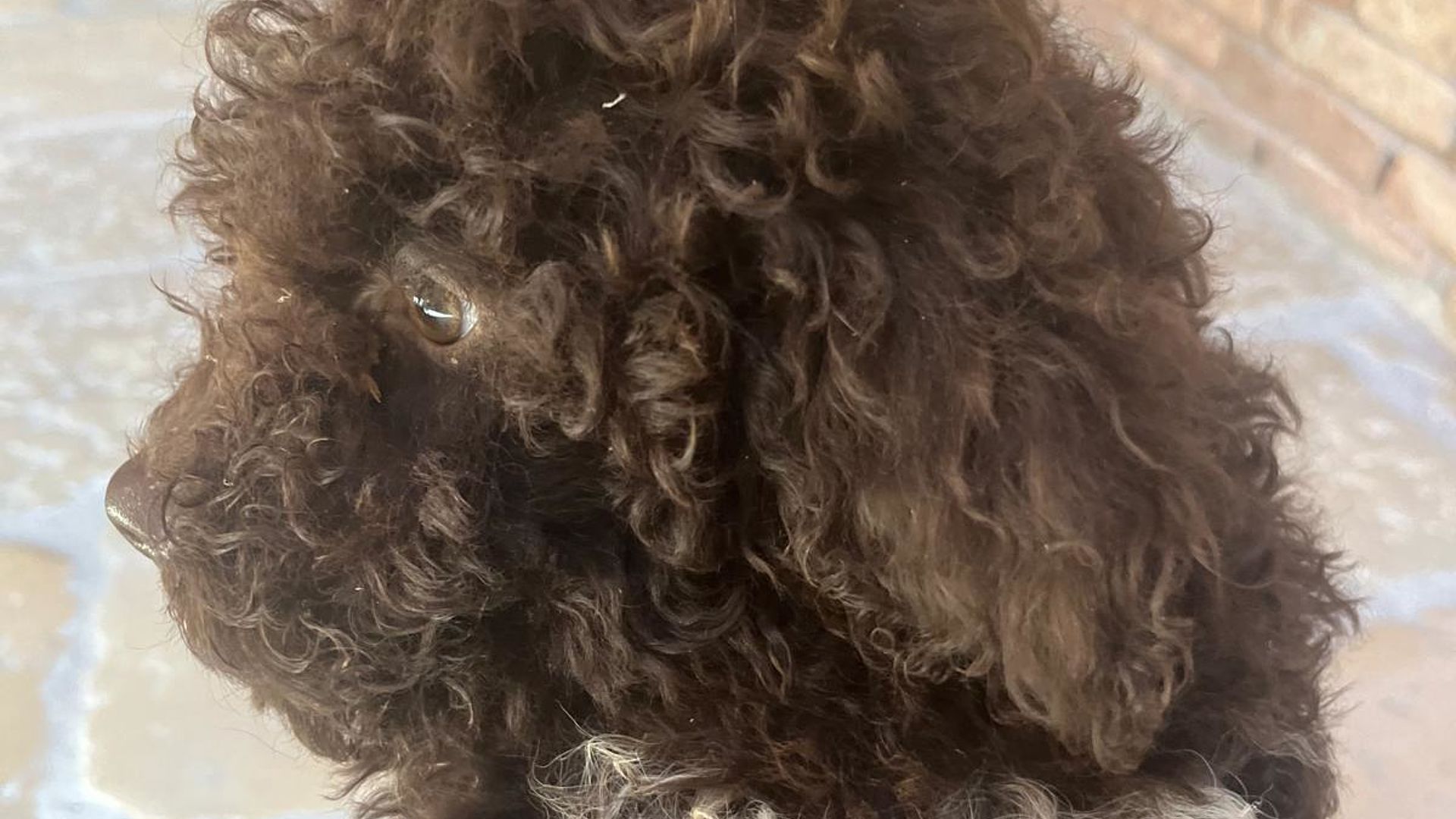 [Translate to English:] 