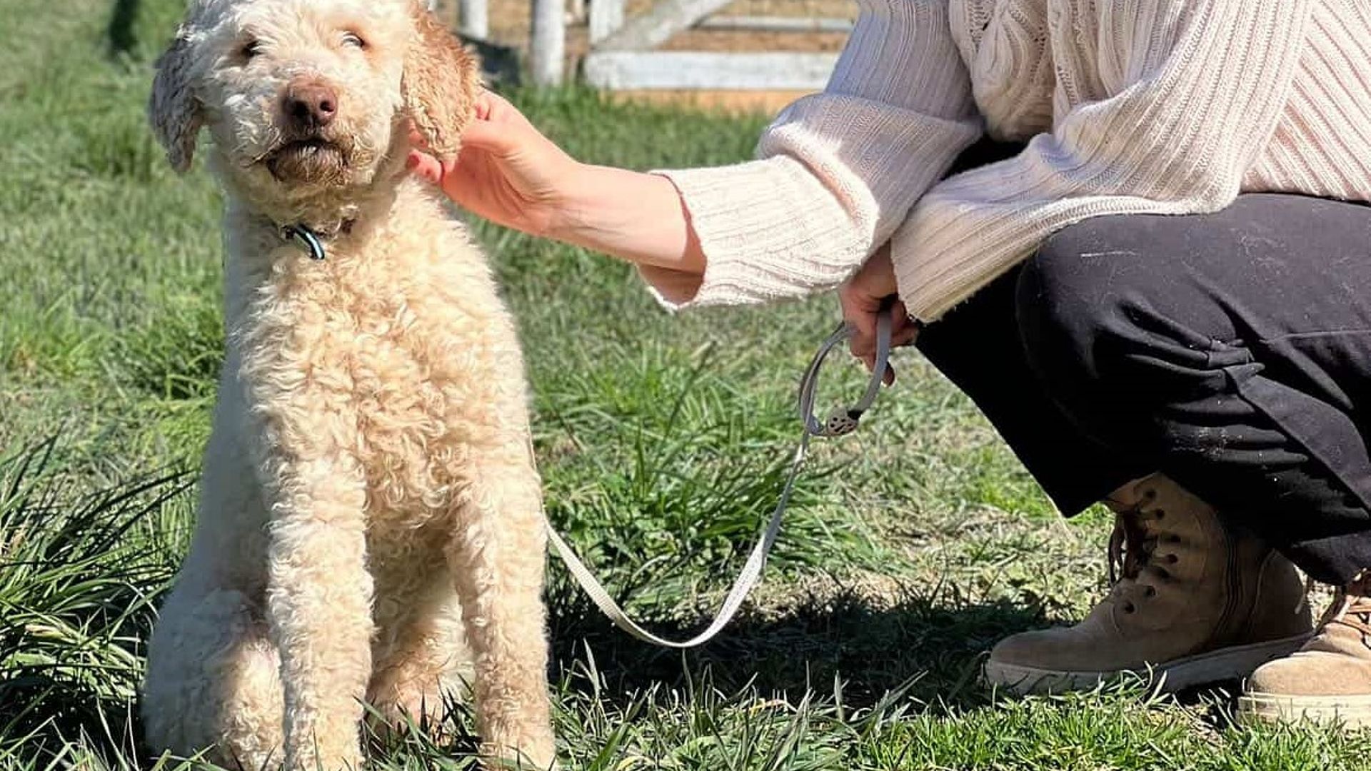 [Translate to English:] 