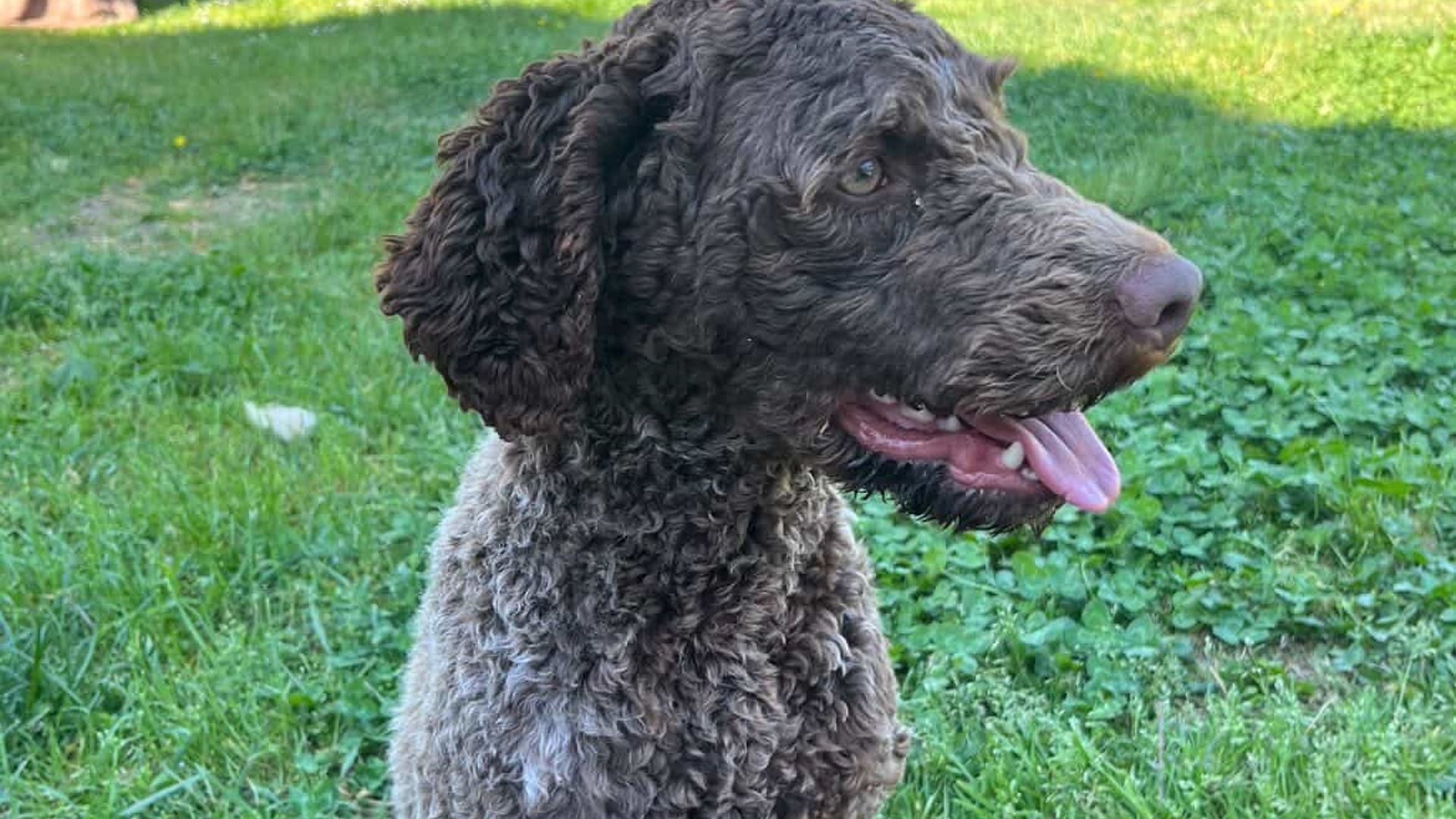 [Translate to English:] 