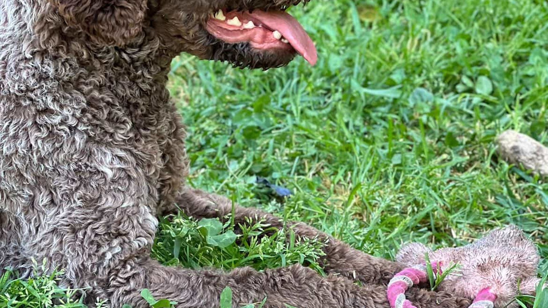 [Translate to English:] 