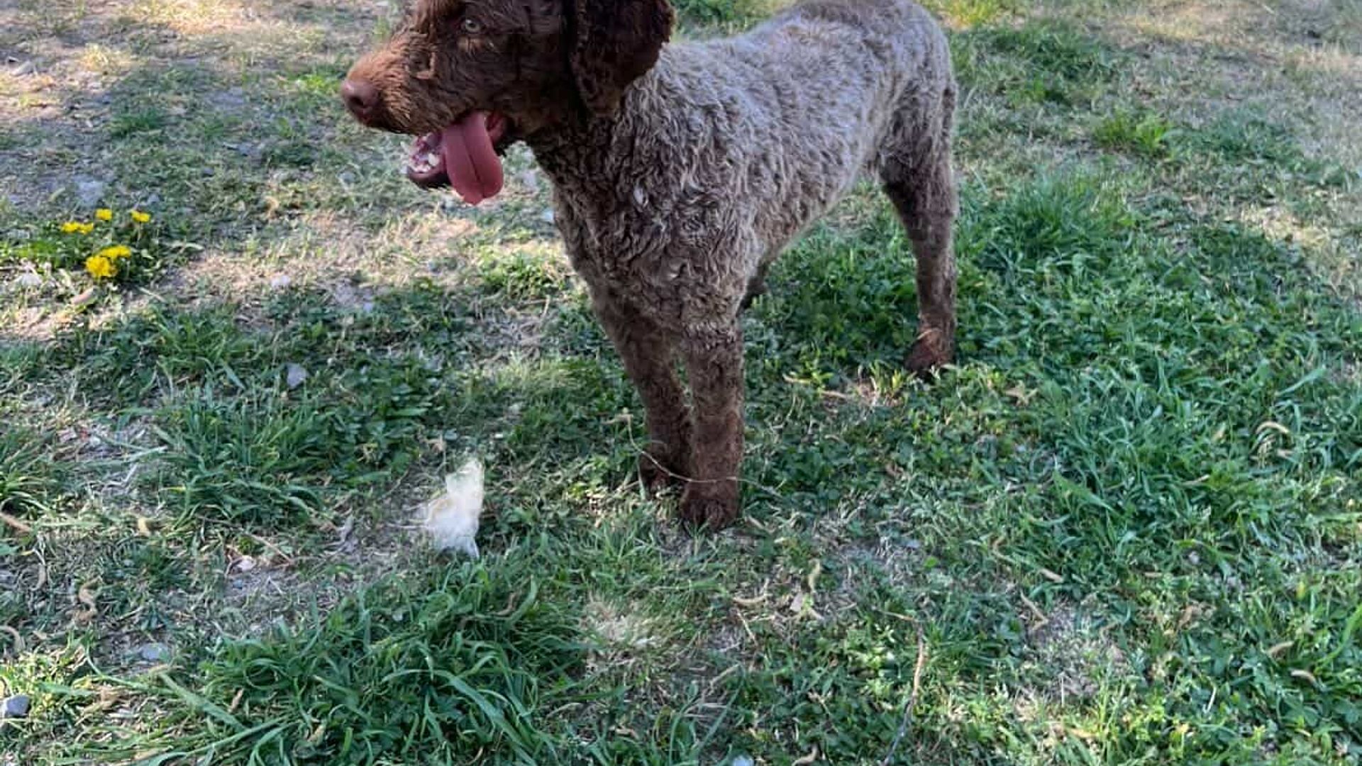 [Translate to English:] 