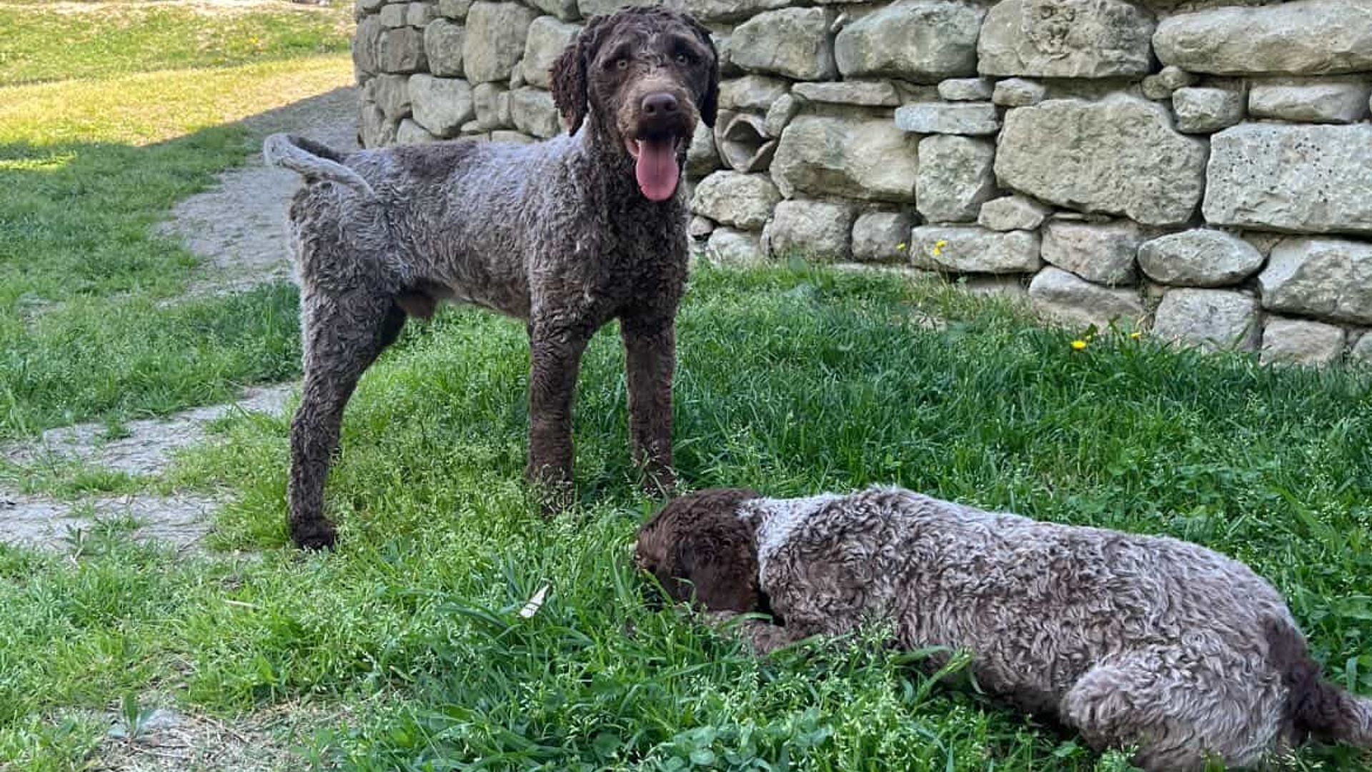 [Translate to English:] 